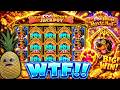 Fibzy Spin : ฟิบซี่ สล็อต THE DOG HOUSE ROYAL HUNT | ให้คลิปมันเล่าเรื่องเว้ย 😏 !!