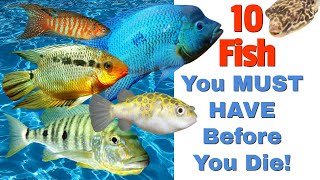 The Bucket Fish List