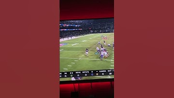 Murdering the bear #football #vikings #bears