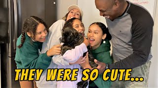 The Cutest Family Picked Up Their Puppy | Twelve Titans Cane Corso