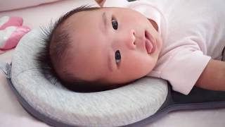 lavish moms portable baby bed