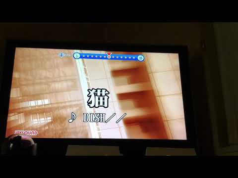 猫／DISH  【音痴】歌ってみた カラオケ