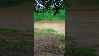 bhagwan pani kab phatega tim lage #may24 #dialogue #automobile youtube par new york