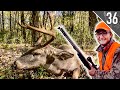 WE SHOT TWO BUCKS IN 1 DAY! - Tennessee Public Land 🦌