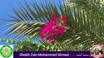 090 Al Balad سورة البلد