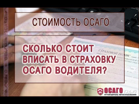 Сколько стоит вписать водителя в ОСАГО?