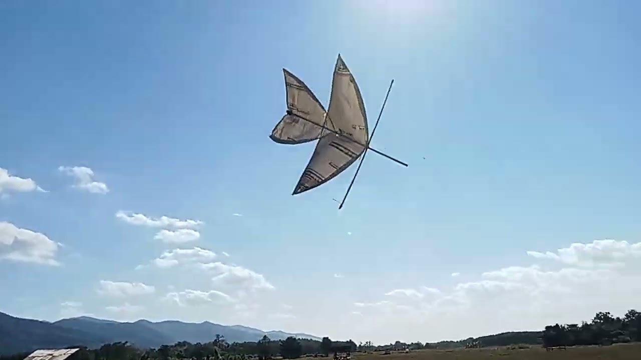 ปล่อยว่าวจุฬาลมหนาวจะขึ้นไหม?