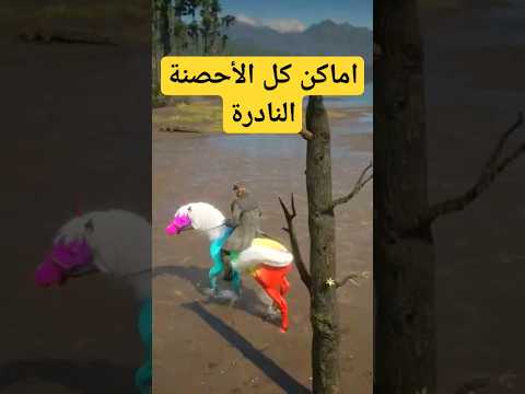 اماكن جميع الأحصنة النادرة في ريد ديد 2 2