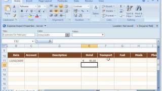 How to input expense in SharePoint