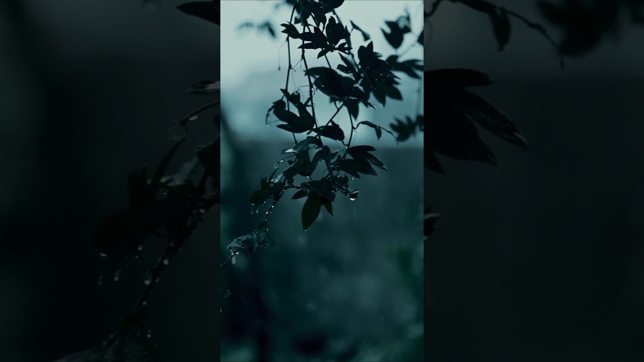 true story 💔.......