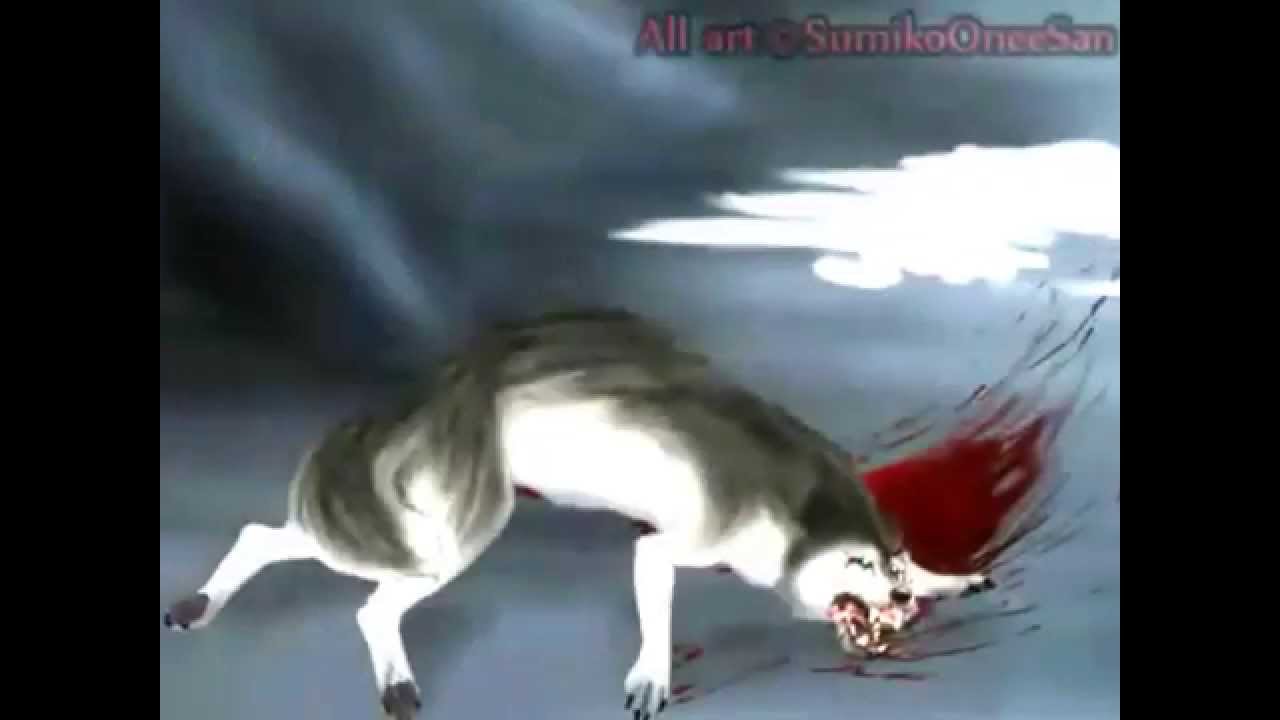 Anime Wolf With Blue Eyes