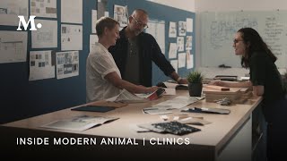 Meet Our Clinics | INSIDE MODERN ANIMAL