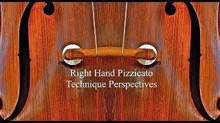 Right Hand Pizzicato Technique Perspectives