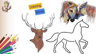 Deer Colouring Page Horse Colouring Page Coloring Bliss 007