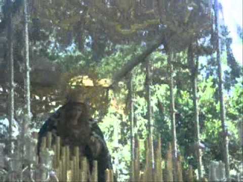 Real Cofradía de Nuestro Padre Jesús a su Entrada en Jerusalén y María Santísima del Amparo