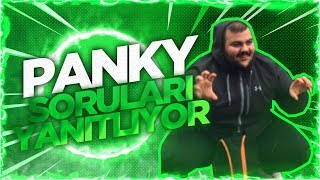 SoloGate | Panky