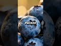 The Two Fruits That Keep Your Brain Young | by Dennis Henson #shorts