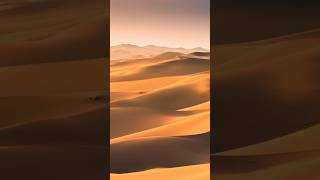 The One Thing Everyones Missing in the Dune 3 Trailer #Dune3 #EasterEggs