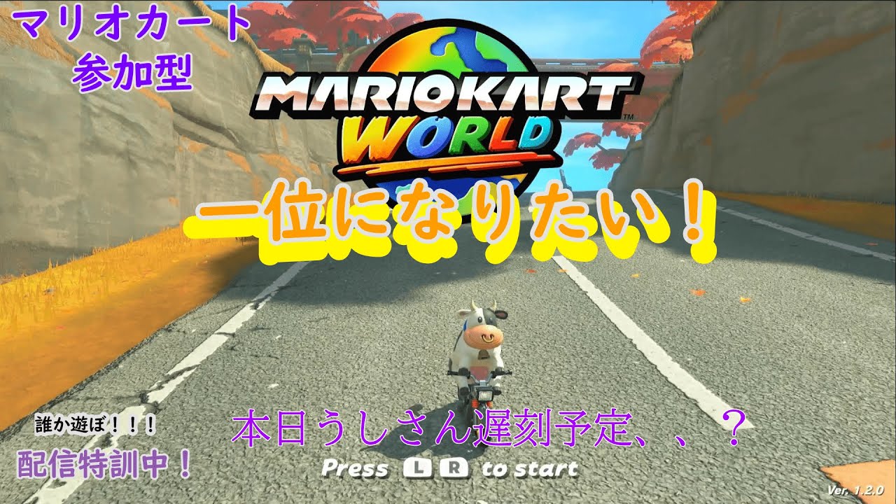 【マリカ参加型】どうしたら一位になれるのか、、？色んな方と話したい！(ラグイかも！！)