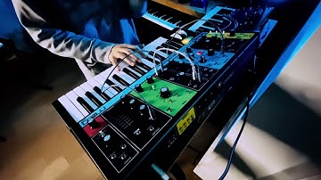 Moog Grandmother 808 Bass