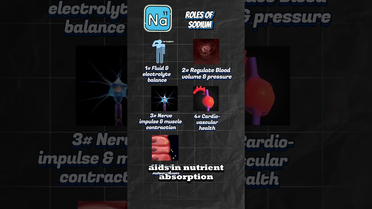 Micronutrients 004: Sodium (EN) - 