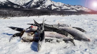 Зимняя рыбалка на омуля. Байкал 23.02.24 г.