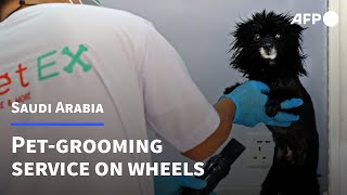 Pet-grooming service goes on wheels in Saudi Arabia | AFP