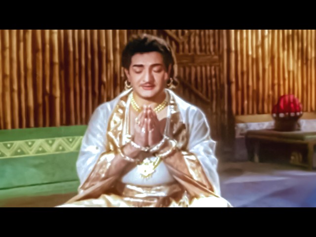 NTR Evergreen Superhit Video Song - Rajakota Rahasyam Movie Songs | Telugu Video Songs HD