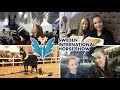 VLOGG - SWEDEN INTERNATIONAL HORSE SHOW