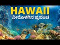 Hawaii - 3 || Underwater ಪ್ರಪಂಚದ ಅದ್ಭುತ ಅನುಭವ || Dolphins || Kannada Travel Vlog || Shalini Paramesh