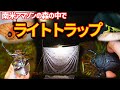 世界最大級のゾウカブトが飛来するライトトラップ