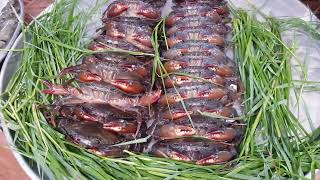 Why Pick Ras Aquaculture as your preferred training provider?