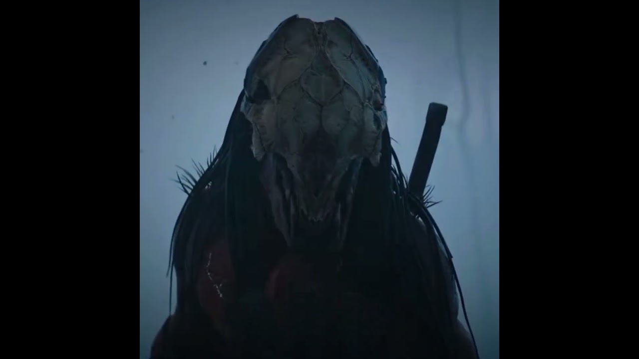 Predator X Limp Bizkit Edit 