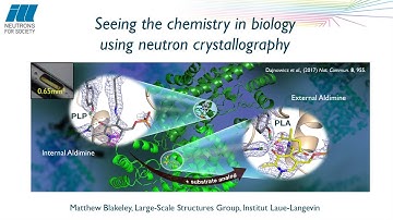 “Seeing the chemistry in biology using neutron crystallography”