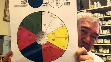 The 5 Element Theory