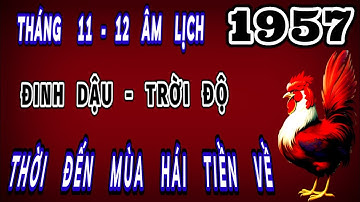 Sự thật bất ngờ đúng trong 2 tháng cuối năm 2025 tuổi đinh dậu 1957 trời đổ thời đến mùa hái tiền về