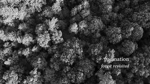 pagination - forest revisted (Official Video)