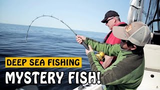 For more fishing videos, please visit: http://www.fishingwithrod.com
while jigging halibut in the pacific ocean on west coast of vancouver
island nea...