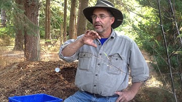 The Role Of Moisture When Composting