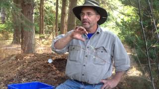 Information The Role Of Moisture When Composting News