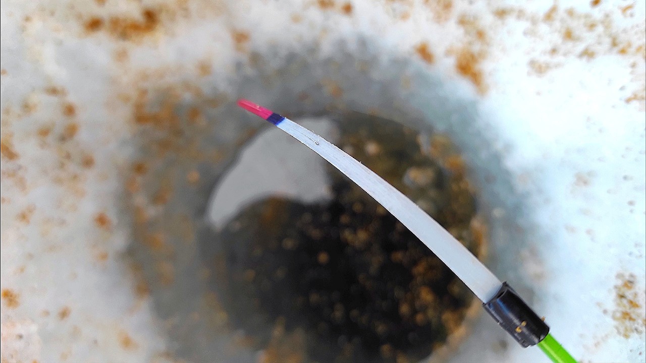 ЛУПЯТ КАК ДУРНЫЕ! Уехали  в ДЕРЕВНЮ и вот кто КЛЮЁТ! Рыбалка в марте 2026