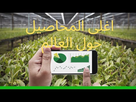 فيديو: أماكن غريبة لزراعة الخضروات: زيادة الإنتاج في أماكن غير تقليدية