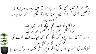 Dharkano Ka Ameen Part 2 Last Complete Urdu Novel | Romantic Urdu Novel | Novels Point screenshot 1