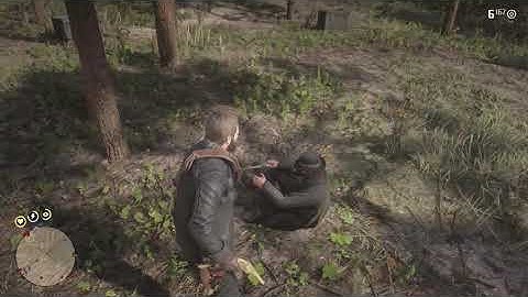 Red Dead Redemption 2 Weapon Expert Challenge 8 Kill 15 Enemies Long-Barrelled Sidearm