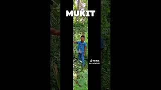 Mukit