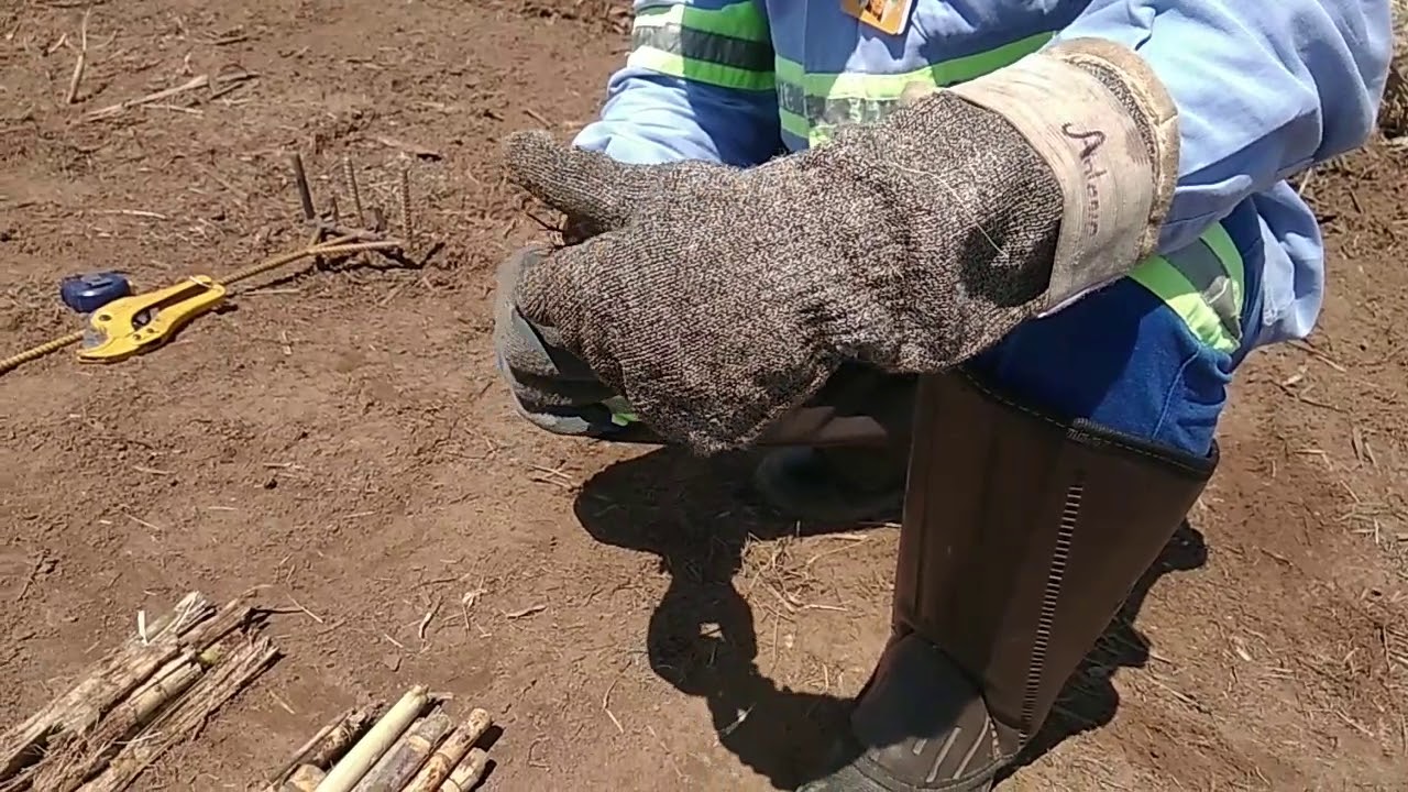 Levantamento De Perdas, Mecânica Industrial. ( Qualidade Agricola  )