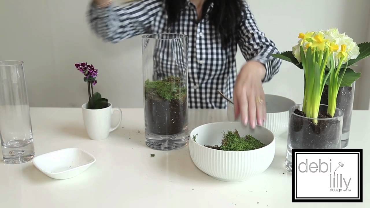 Potted Plants for Spring Spring Decor Albertsons YouTube