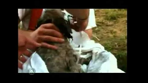 NEW DETAILS: Firefighters Overcome By Heat At Apartment Fire