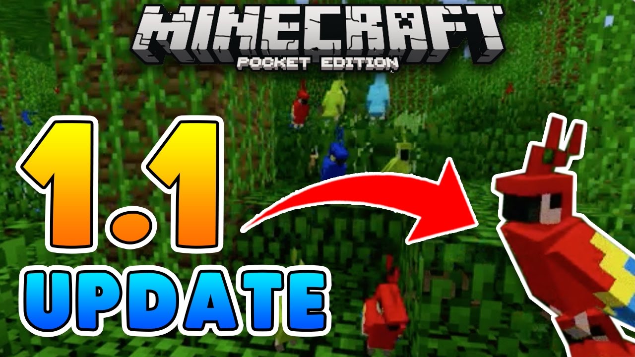 Pet PARROTS 1 1 UPDATE Minecraft Pocket Edition Concept Addon YouTube