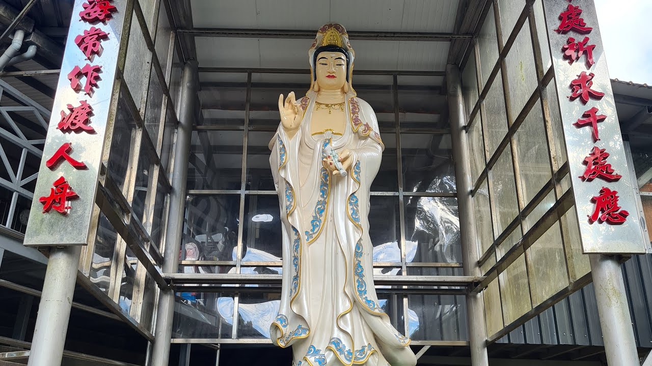 「釋禪定」正在上午香直播！